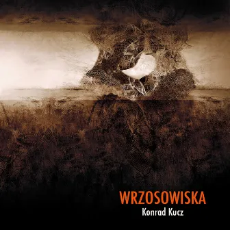 Wrzosowiska by Konrad Kucz