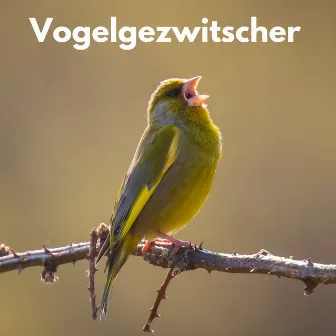 Beruhigendes Vogelgezwitscher (Vogelmusik) by Waldgeräusche