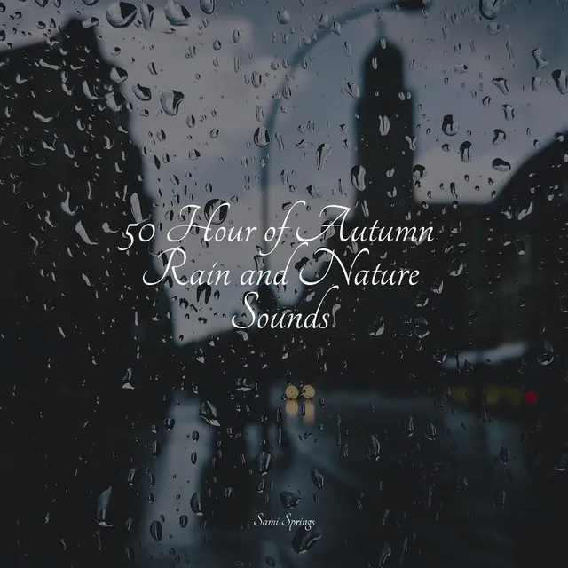 50 Hour of Autumn Rain and Nature Sounds