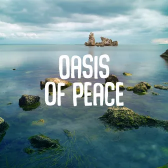 Oasis of Peace - Internal Mute, Fun with Nature, Interesting Sensations, Nature in the House, Biological Regeneration in the Home Spa by Natural Oasis