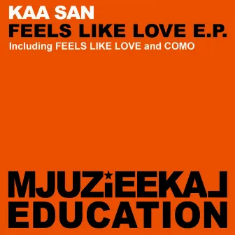 Feels Like Love E.P. by Kaa San