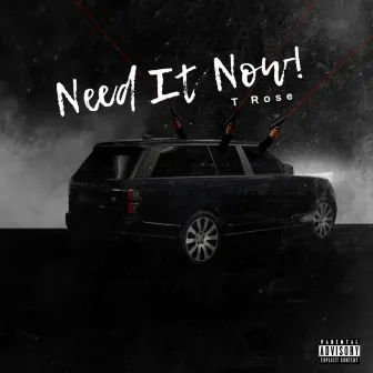 Need It Now by T Rose