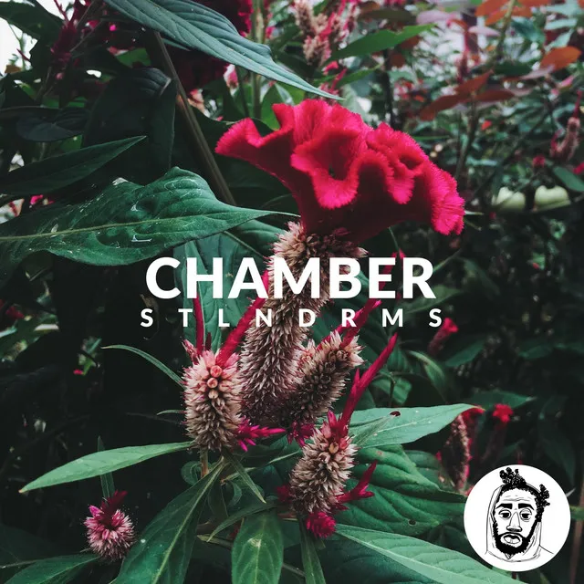 Chamber