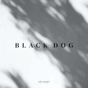 Black Dog by Autonomy