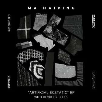 Artificial Ecstatic by Ma Haiping