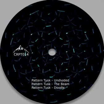 Undivided by Pattern Tusk