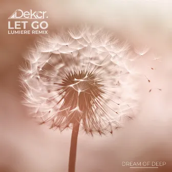 Let Go (Lumiere Remix) by Dekcr