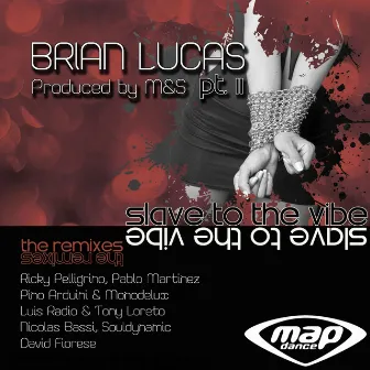 Slave to the Vibe, Pt. 2 (The Remixes) by Brian Lucas