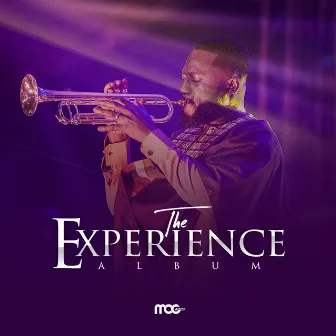 The Experience by MOGmusic