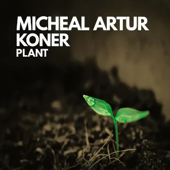 Plant by Micheal Artur Koner