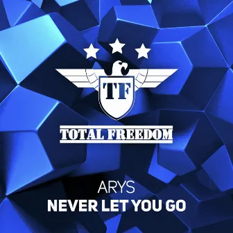 Never Let You Go by Arys