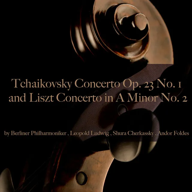 Piano Concerto No. 1 in B-Flat Minor, Op. 23: I. Allegro non troppo e molto maestoso