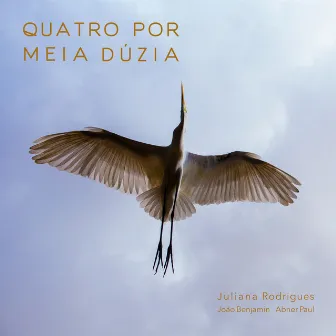 Quatro por Meia Dúzia by Abner Paul