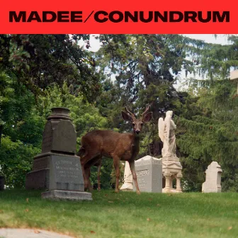 Conundrum by Madee