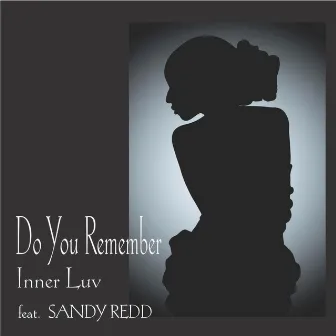 Do You Remember (feat. Sandy Redd) by Inner Luv