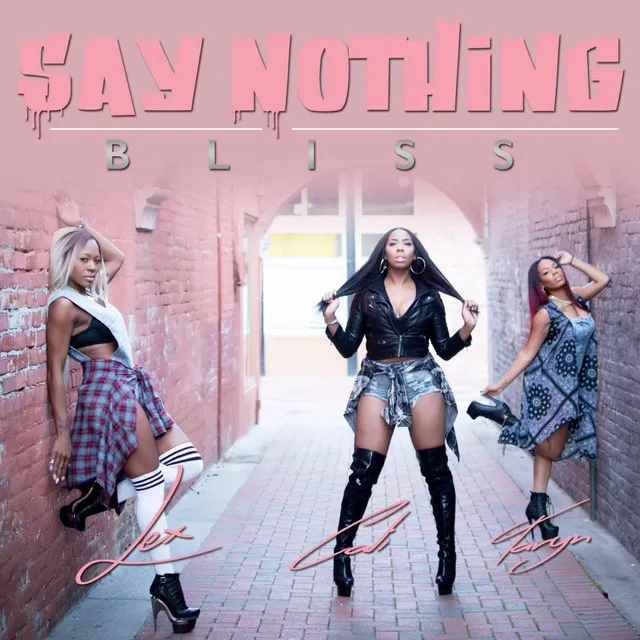 Say Nothing