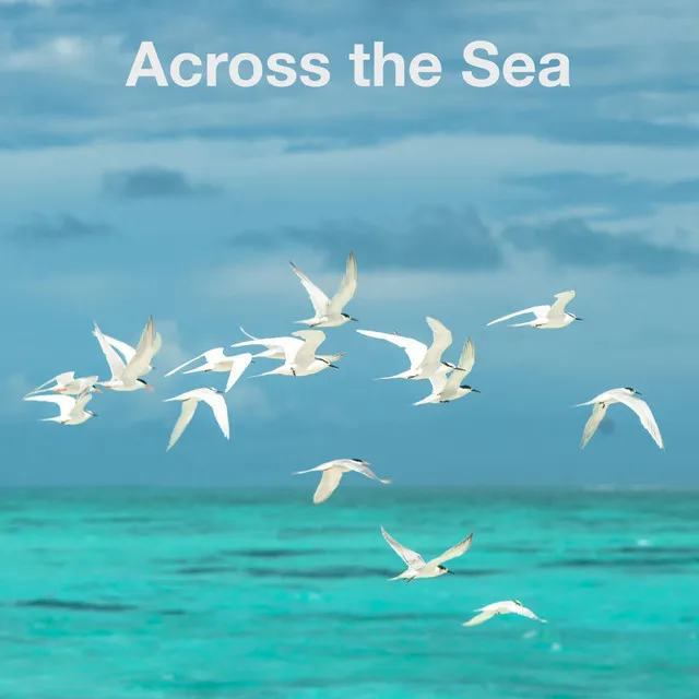 Across the Sea