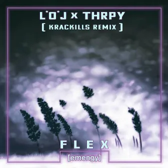 Flex (KracKill$ Remix) by THRPY