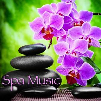 Spa Music - Beautiful Harp Songs for Relaxation and Healing by Relaxing Spa Sounds