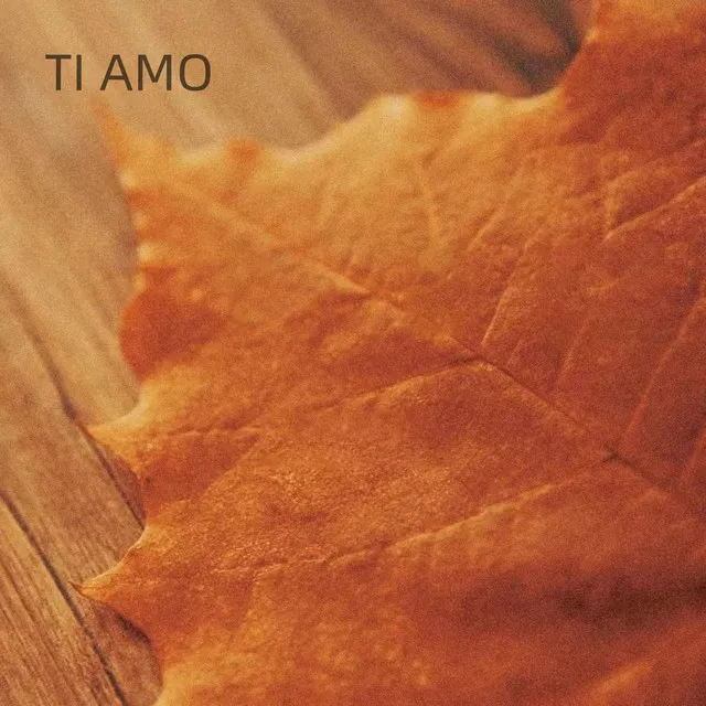 TI AMO