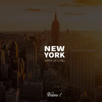 New York State Of Chill . Volume 1 by Xpect