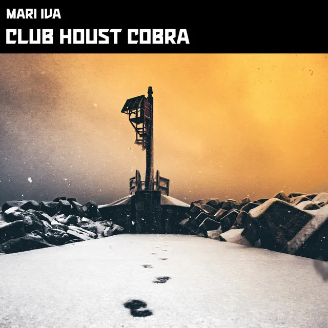 Club Houst Cobra