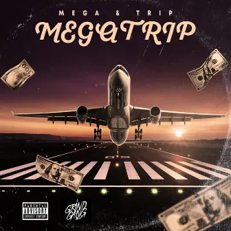 Megatrip by Trip