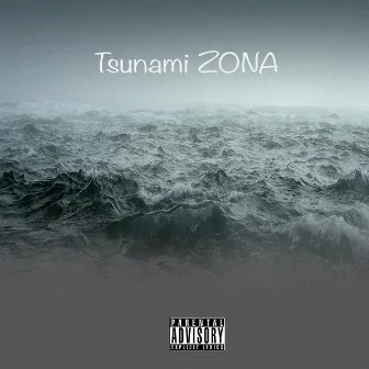 Tsunami Zona by SkRUFF ZONA