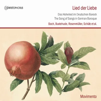 Lied der Liebe by Nele Gramss