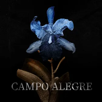 Campo Alegre by Istituto Italiano di Cumbia