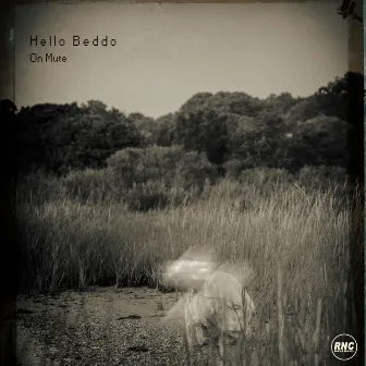 On Mute by Hello Beddo