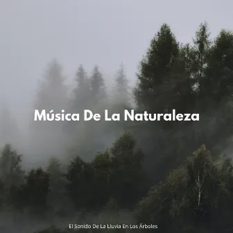 Música De La Naturaleza: El Sonido De La Lluvia En Los Árboles by Relajación y sueños