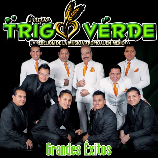 Trigo Verde