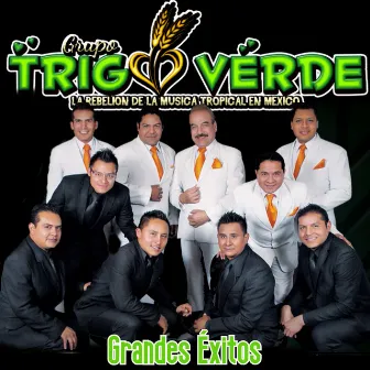 Grandes Éxitos by Grupo Trigo Verde