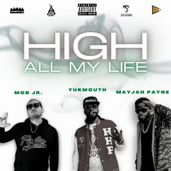 High All My Life by Mayjah Payne