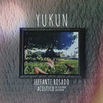 Elefante Rosado [Acústico) (En Vivo] by Yukun