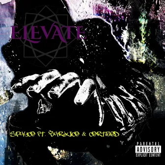 Elevate by Spayce