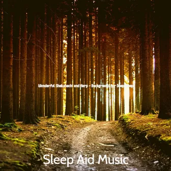 Wonderful Shakuhachi and Harp - Background for Deep Sleep by Sleep Aid Music