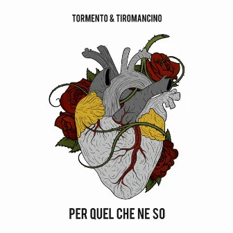 Per quel che ne so by Tormento