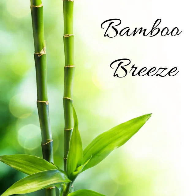 Bamboo Breeze