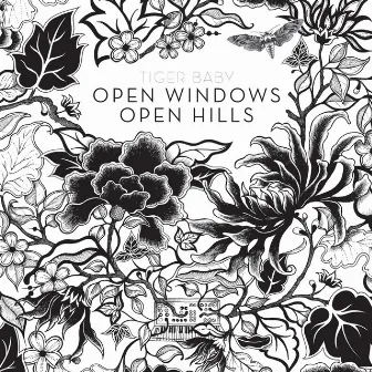 Open Windows Open Hills by TIGER BABY