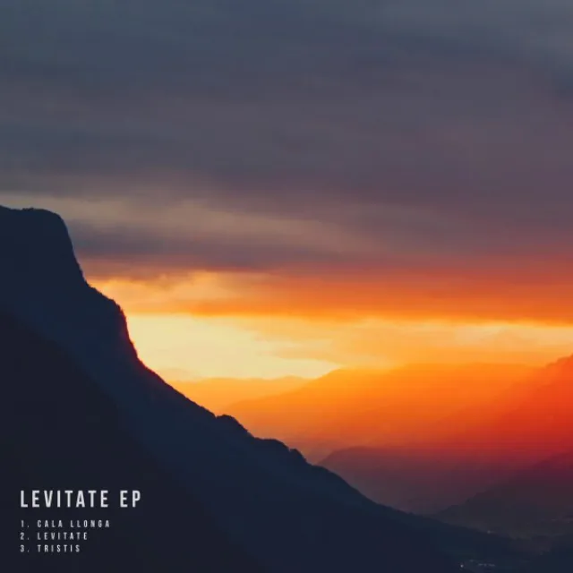 Levitate - Original Mix