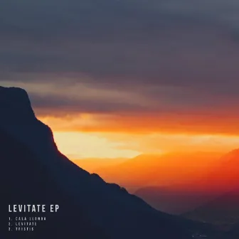 Levitate EP by Toyboy & Robin