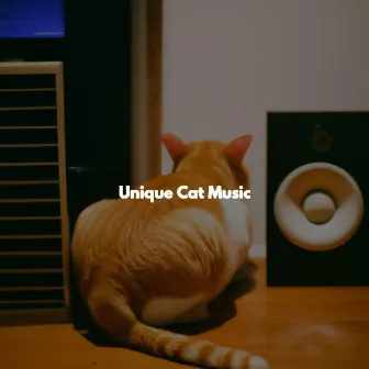 Unique Cat Music by Elevator Background Music Sensation