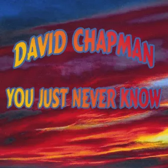 You Just Never Know by David Chapman