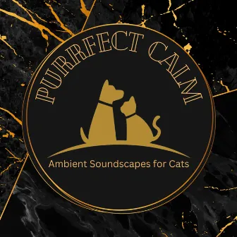 Purrfect Calm: Ambient Soundscapes for Cats by Cat meowing