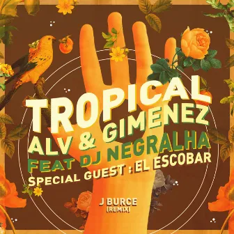 Tropical (J Burce Remix) by ALV