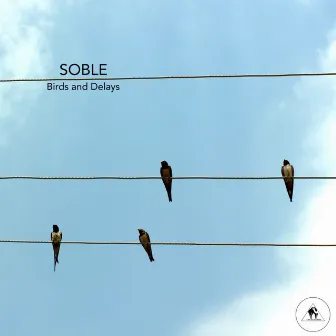 Birds and Delays by Soble