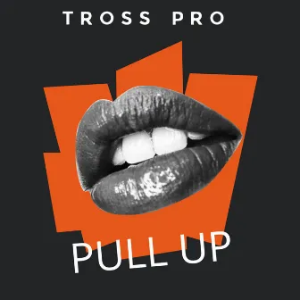 Pullup by Tross pro