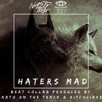 Haters Mad (Instrumental) by Kato On The Track